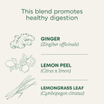 Traditional Medicinals, Herbal Teas, органический лимонный имбирь, без кофеина, 16 чайных пакетиков, 32 г (1,13 унции)