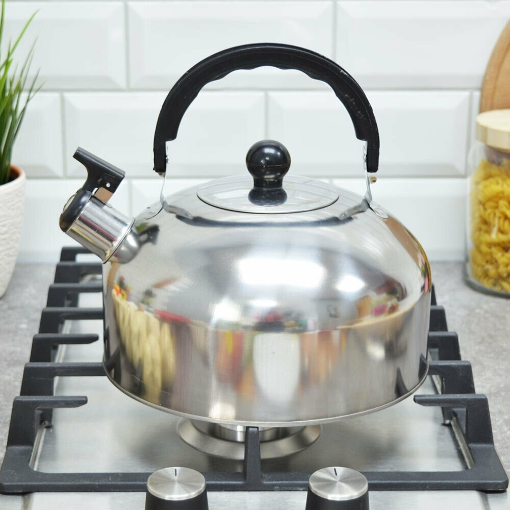 Чайник 3л нерж со свистком тм Bingo