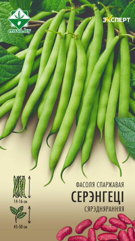 Фасоль спаржевая "Серенгети" 8г, Франция.