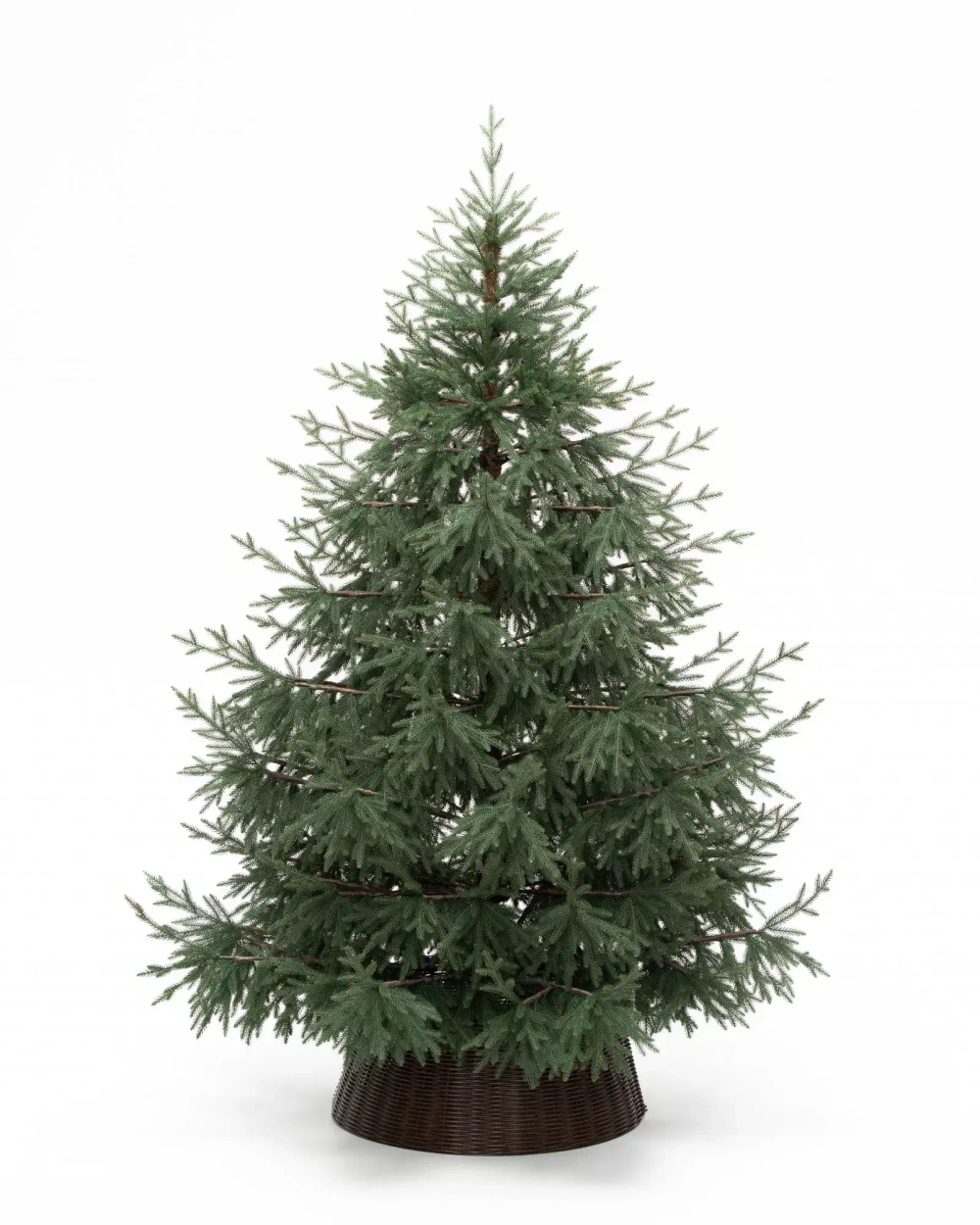 Искусственная елка Заповедная 240 см., 100% литая хвоя, ЕлкиТорг (267240)