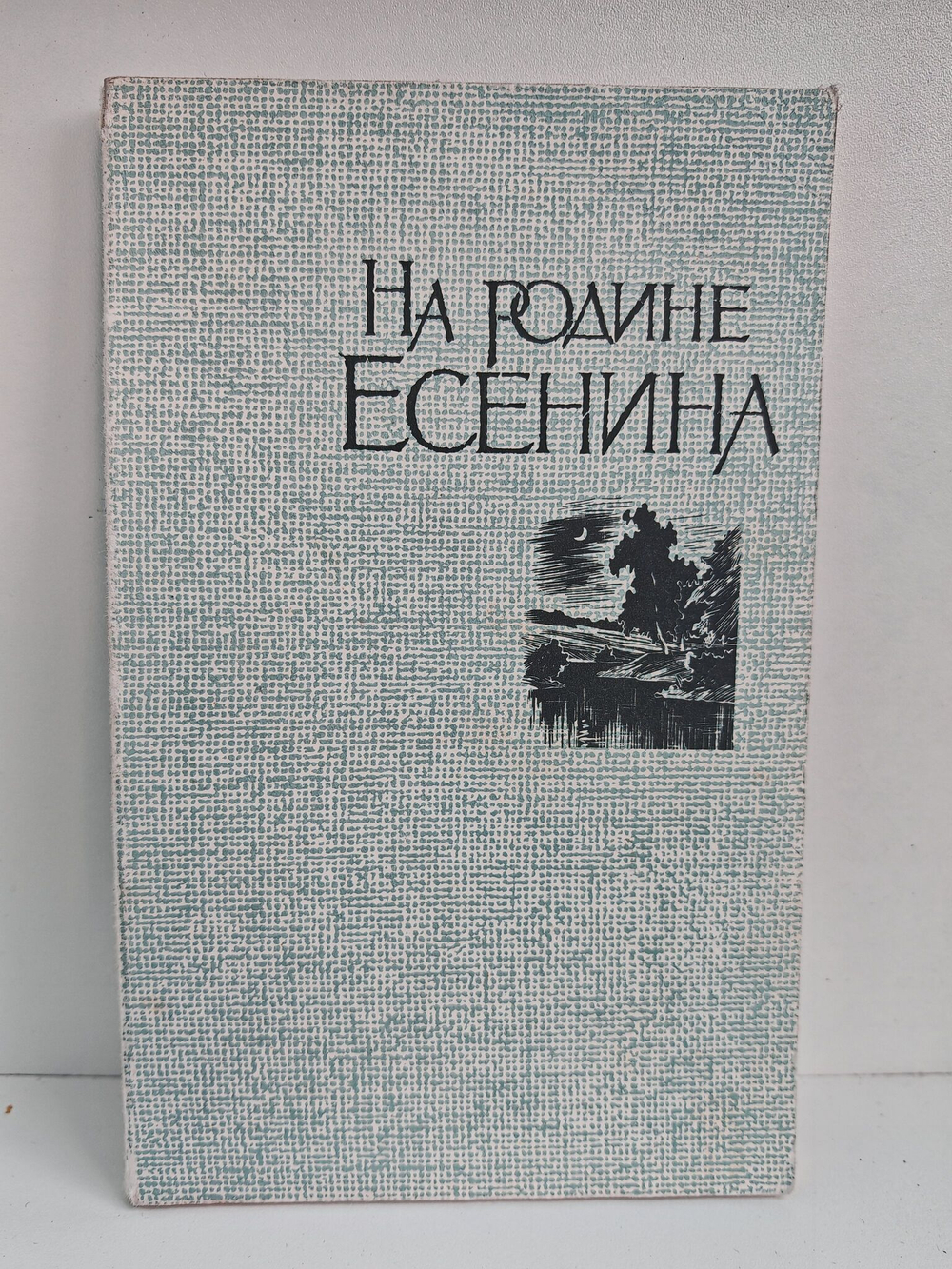 На родине Есенина