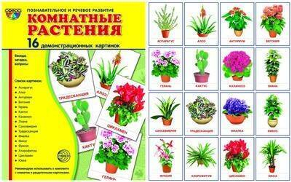 Т.В.Цветкова. СУПЕР. Комнатные растения. 16 демонстрационных картинок с текстом на обороте. 0+