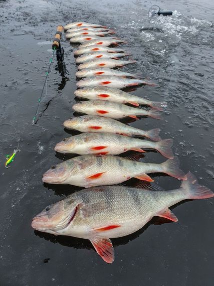 Балансир Lucky John NORDIC 4 40мм/29