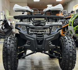 КВАДРОЦИКЛ PROMAX WILD 2.0 190