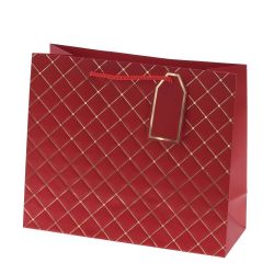 GAEM Пакет подарочный (бумага 210г/м2, блок 12шт), L31 W12 H26 см, 6в.