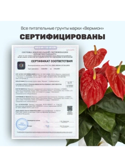 Органический грунт для спатифиллума 2,5 л