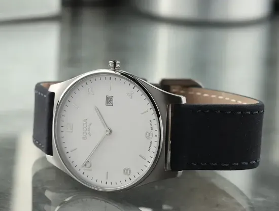 Мужские наручные часы Boccia Titanium 3655-01