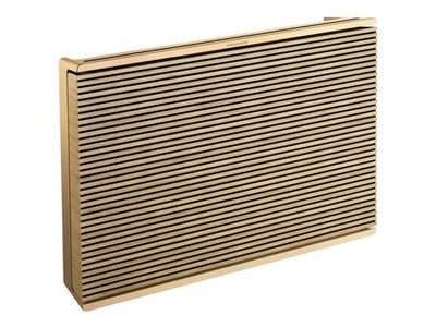 Портативная акустика Bang & Olufsen Beosound Level Gold Tone/Light Oak