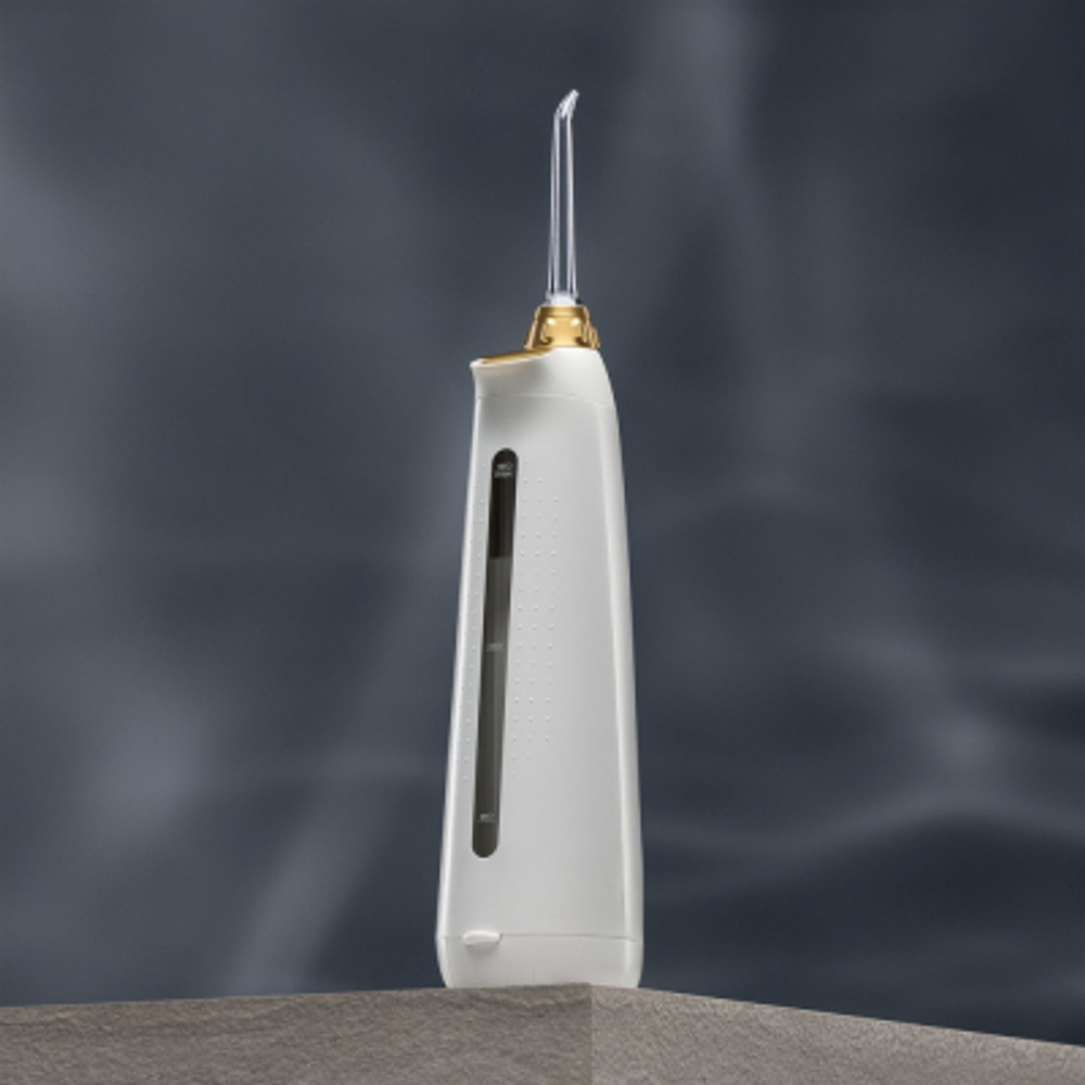 Ирригатор Bork F750