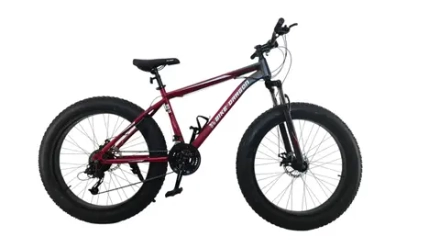 Велосипед  фэтбайк BIKE Dragon BDF-26-3 (красный)