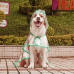 Дождевик для крупных пород собак «KOMFORT», прозрачный, р 6XL