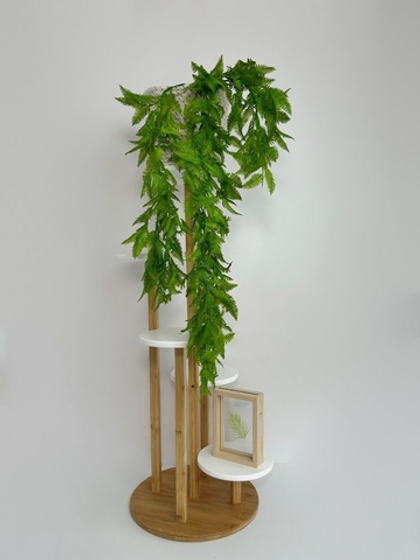 Папоротник мелкий / Арт 4214