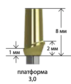 Абатменты титановые прямые BIOHORIZONS