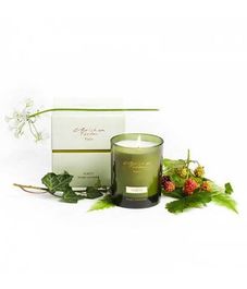 Ароматическая свеча Заповедный лес, Christian Tortu