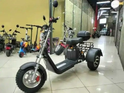 Электроскутер GT Citycoco X11 TRIKE