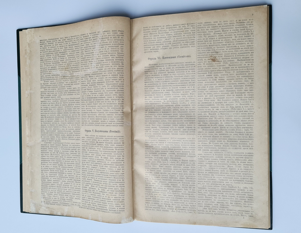 "Большой зоологический, ботанический и минералогический атлас : Handatlas der Naturgeschichte aller drei Reiche". Г. Хайек : Hayek, Gustav von. Grosser. 1888г. - антикварное издание