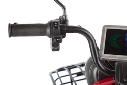 Электротрицикл Gelbert Kappa (650Вт, 48/60B)