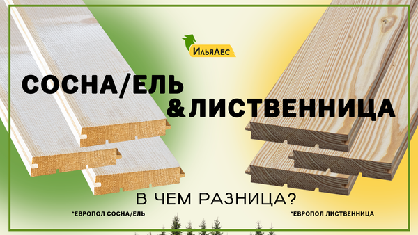 Чем же отличаются пиломатериалы из сосны, ели и лиственницы?