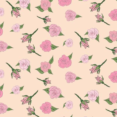 Нежные розы