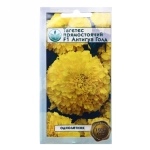 Семена Тагетес Антигуа Голд 5шт