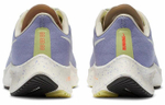 Кроссовки Nike Pegasus 37 (Женская размерная сетка)