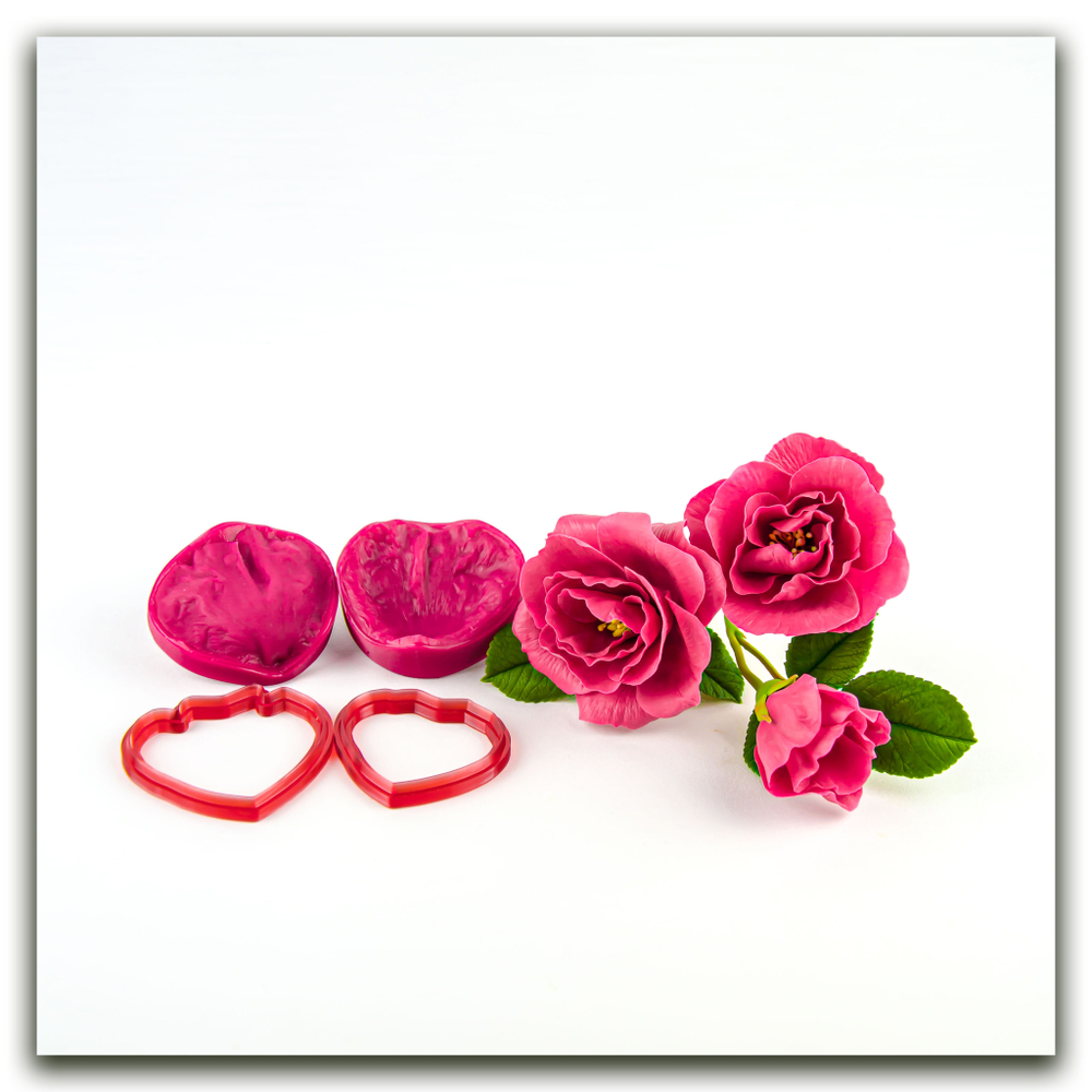 Лепесток шиповника морщинистого