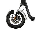 Электроскутер Skyboard Sevastopol 1800W Black