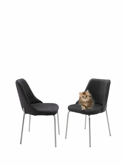 Стул "Флорес" 2 шт. Антивандальная ткань, Серебряные ножки