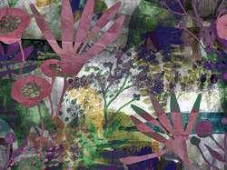 Коллекция ASTRAL