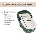 Коляска Chicco Bellagio 3 в 1 с автокреслом Kory Plus Black Satin Fir Tree