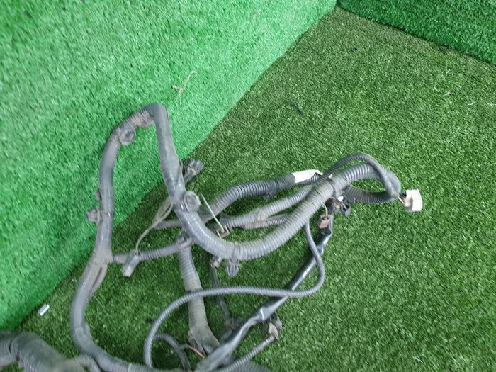 Проводка моторного отсека Infiniti G V36 (2006-2013)