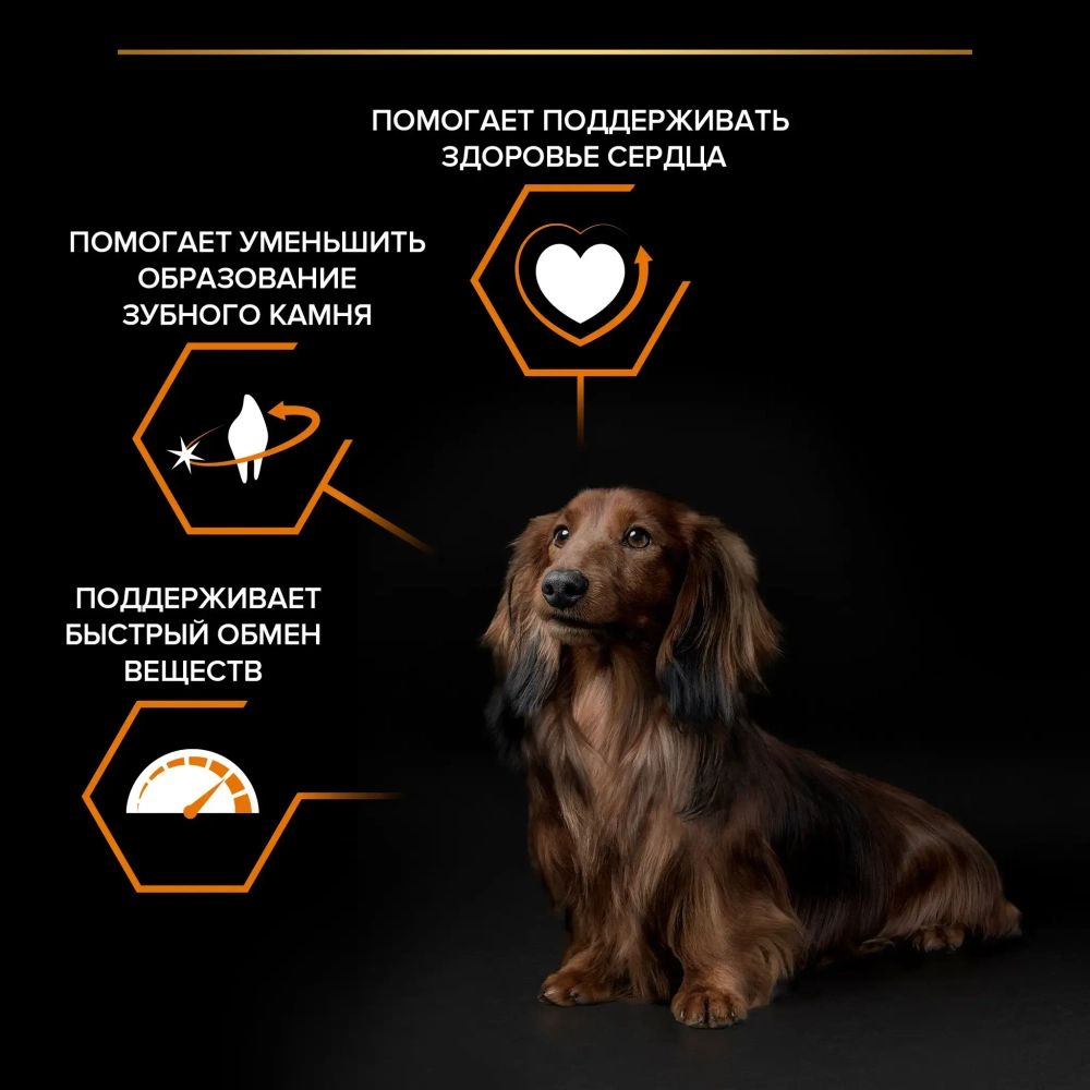 Корм сухой Курица для собак мелких пород ProPlan 700гр