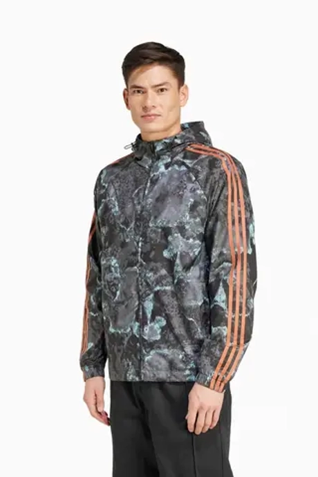 Ветровка adidas FC Bayern 24/25 Seasonal - многоцветный