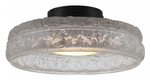 Накладной светильник ST-Luce ANTIKE SL6143.402.01