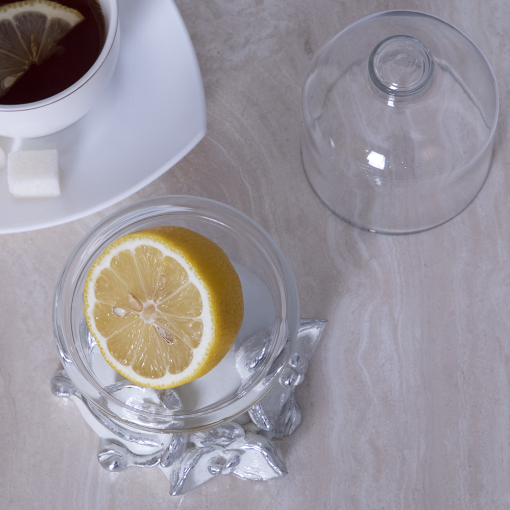 Лимонница Орхидея Лайм Белая