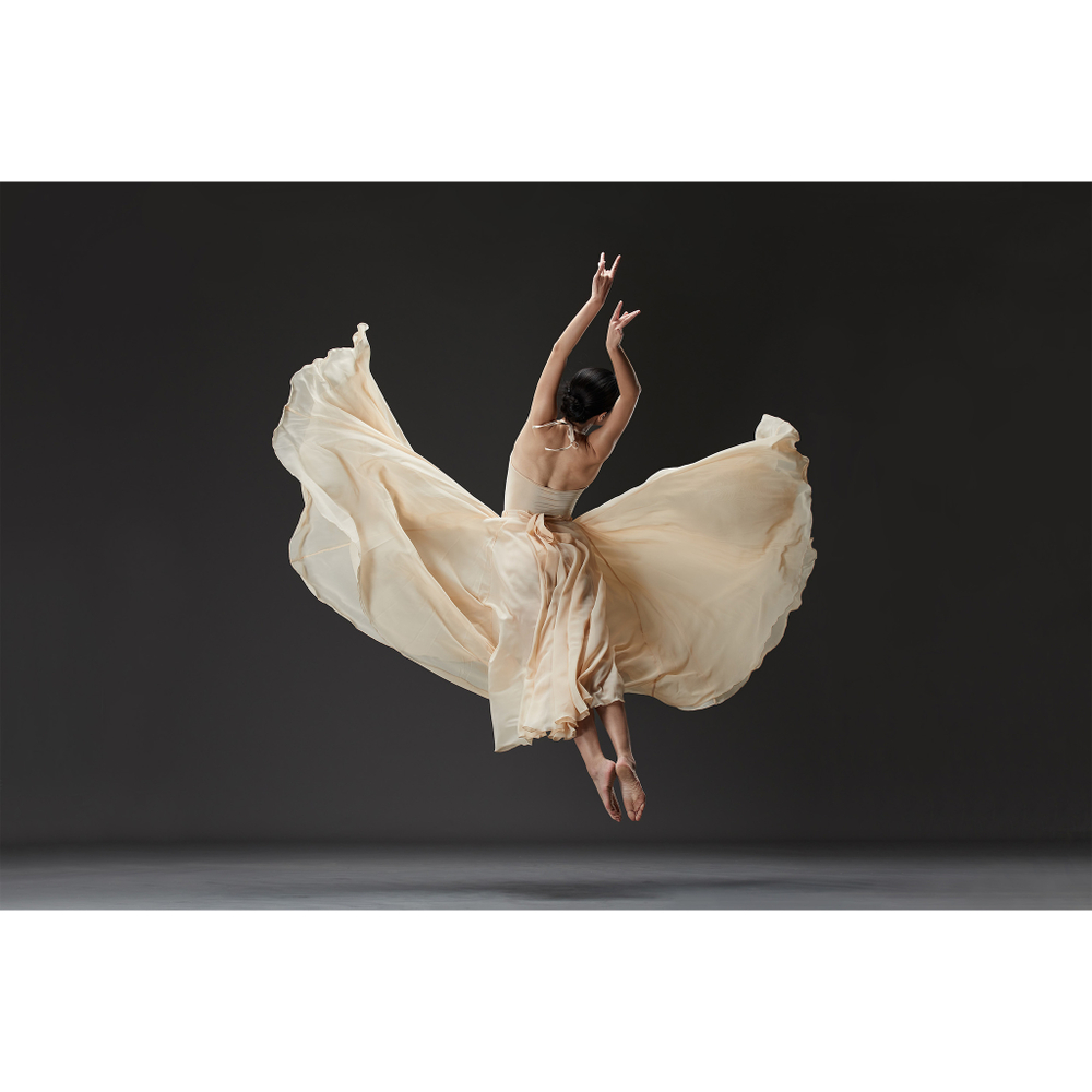 Вспышка аккумуляторная Godox Witstro AD600ProII