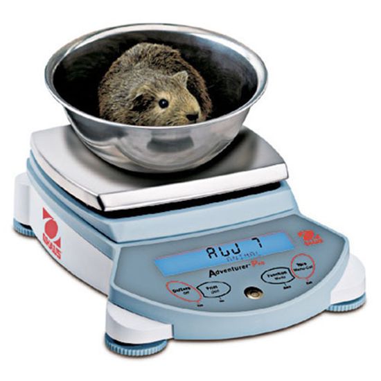 Весы Ohaus AV4101