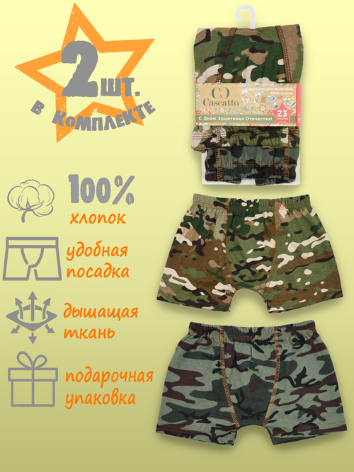 Трусы для мальчика боксеры набор (2шт.в уп.)