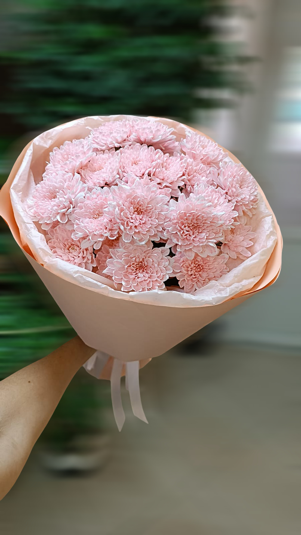 Букет из 5 крашеных хризантем кустовых