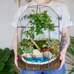 Готовый флорариум бонсай Кармона Бонсариум XL с озером