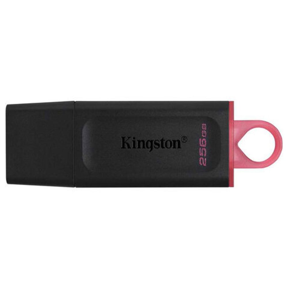 Флеш-диск 256 GB KINGSTON DataTraveler Exodia, разъем USB 3.2, черный/розовый, DTX/256GB