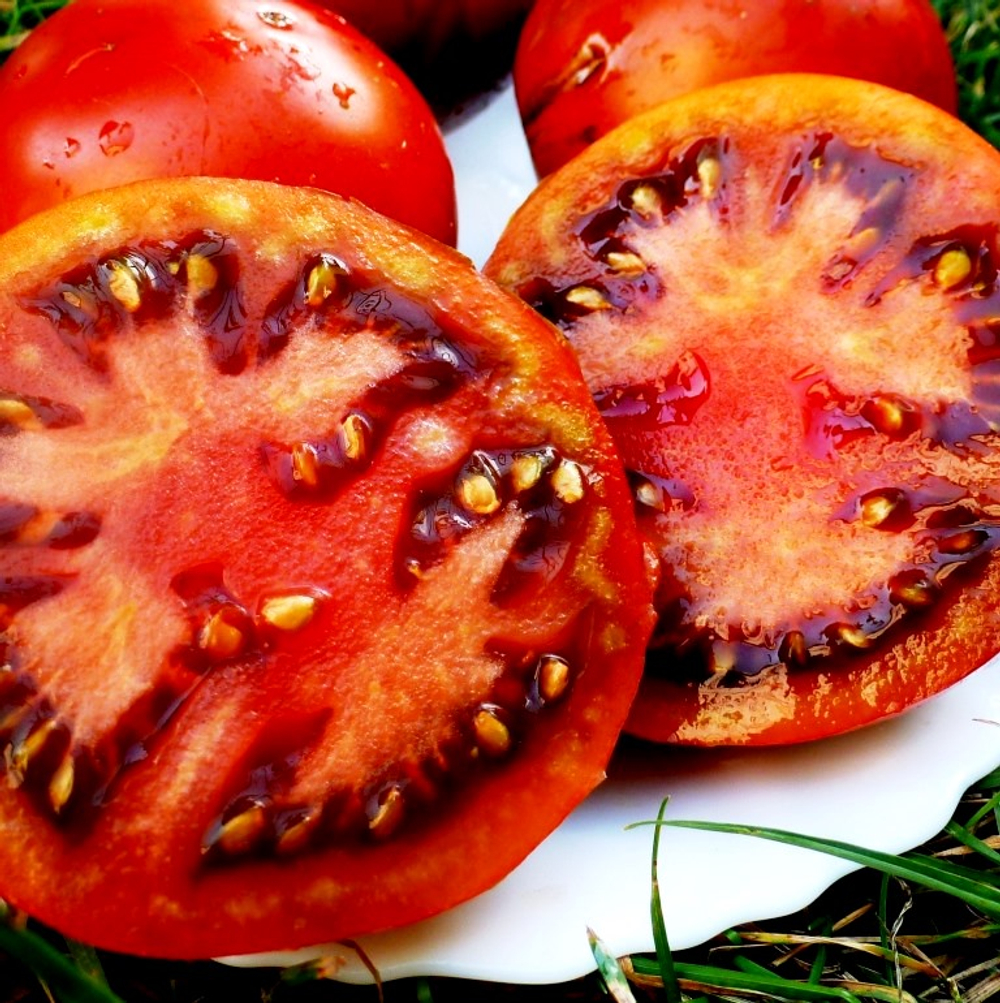 Помидоры Paul Robeson - Поль Робсон