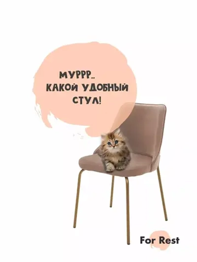 Стул "Флорес" 1 шт. Антивандальная ткань, Золотые ножки