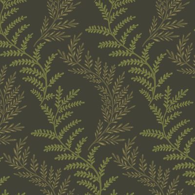 Ветки папоротника