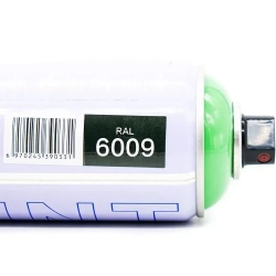 RAL 6009 хаки защитный темный акриловая 520мл аэрозольный баллончик Gamma Paint