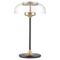 Настольная светодиодная лампа Lightstar Acrile 738973