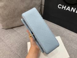 Chanel Bag 20 cm