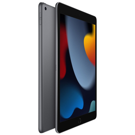 Apple iPad 2021 Wi-Fi 10.2" 256Gb Space Gray (Серый Космос)