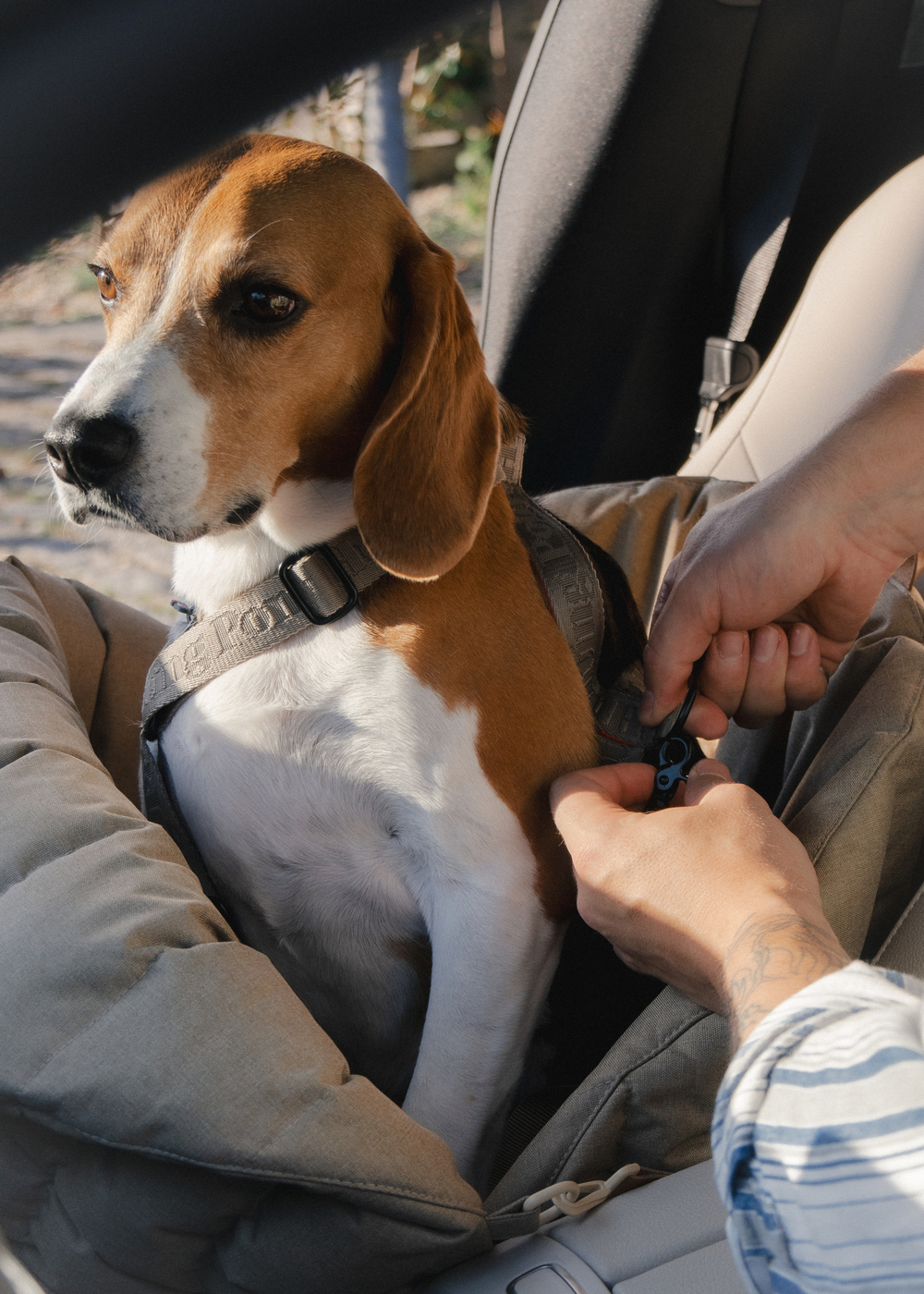 Автокресло-Пони бежевое