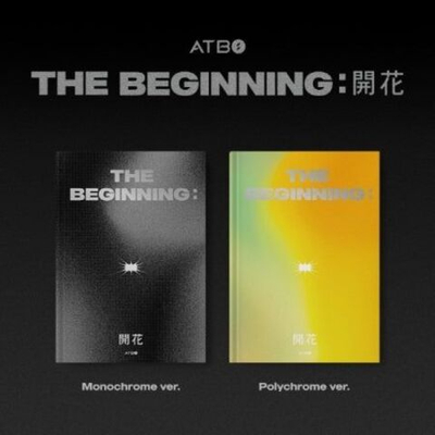 Альбом ATBO - THE BEGINNING : Debut Album 2 Version SET